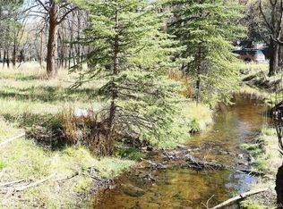 5201 Highway 73 LOT 34, Evergreen, CO 80439