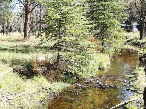 5201 Highway 73 LOT 34, Evergreen, CO 80439