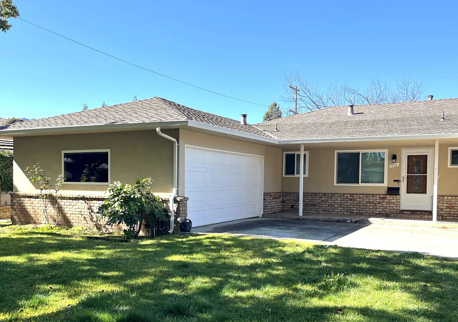 7731 Filice Dr — Photo 3