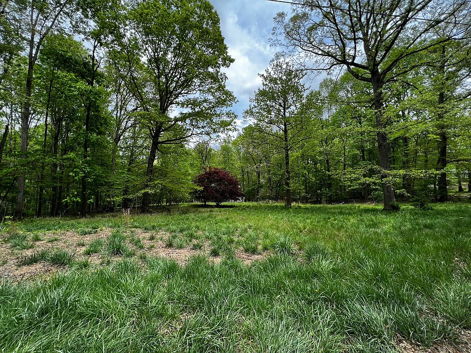 2nd image of LOT 14 Trap Branch Rd