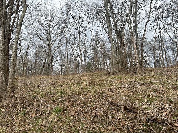 5th image of LOT 7 New Zion Rd