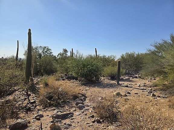 3rd image of 6641 N Montezuma Dr