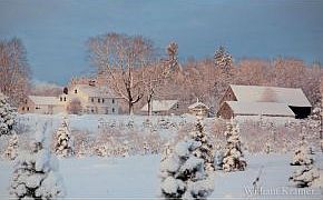 Beautiful all year long...