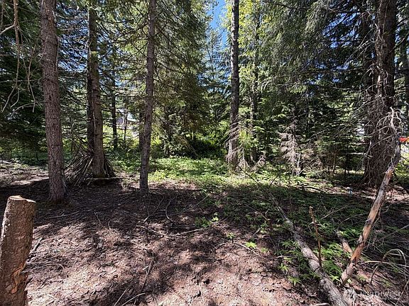 3rd image of 129 Chamonix Place