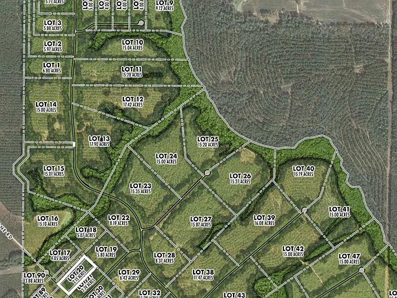 5th image of LOT 20 Pine Preserve Ln