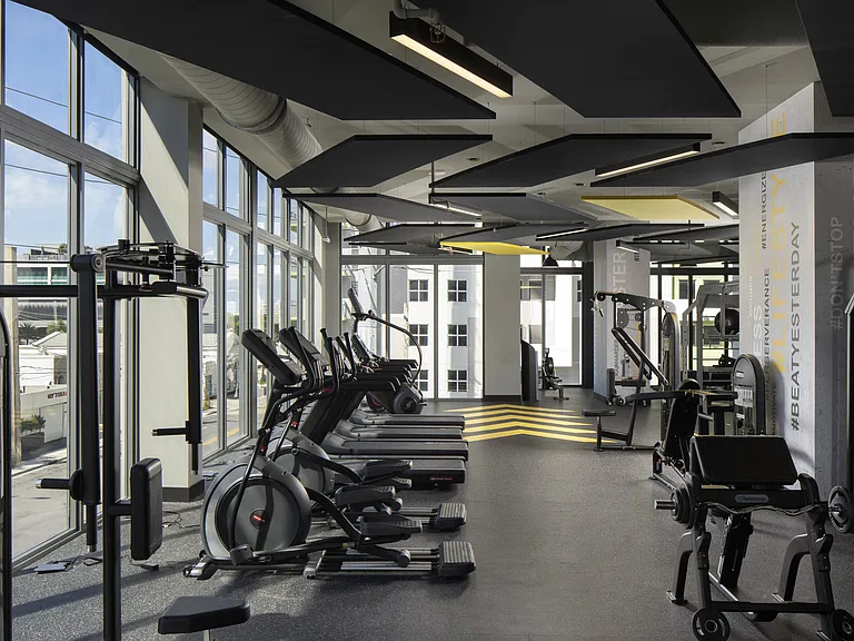 Wellness, Elevated