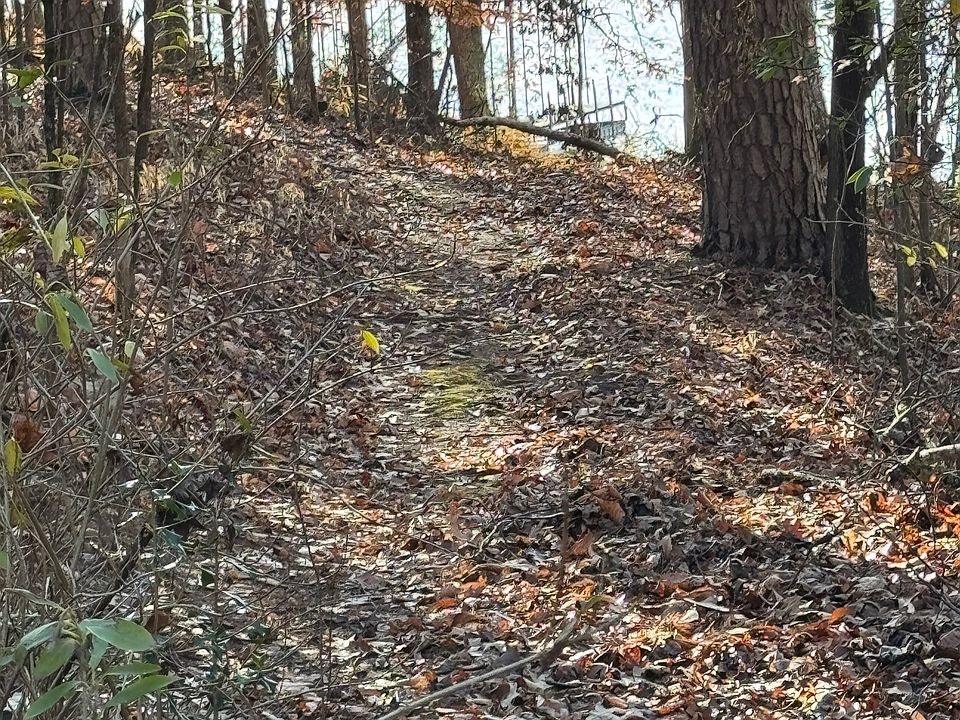 The pass to the dock is a very slight downward path a very safe, stable walkway