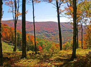 1019 Summit Highlands Trl, Slatyfork, WV 26291