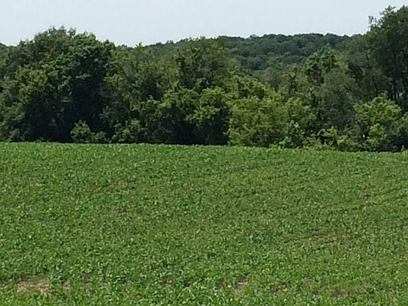 4th image of Blue Mounds St