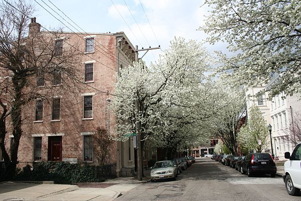 1st image of 225 Orchard St APT 1