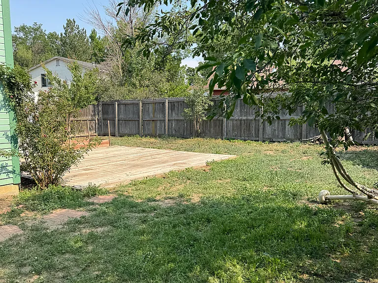 Backyard View 1