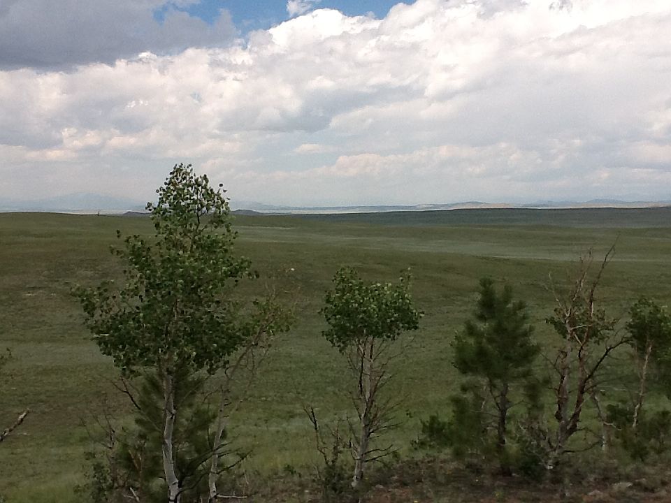 2nd image of Saddle Horn Rd And Canteen Way #365