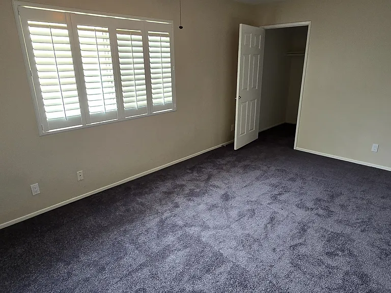 Bonus walk-in closet/storage area