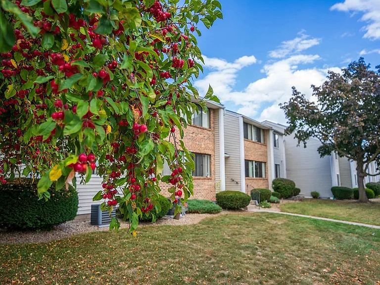 Willow Pond Apartments & Townhouses — Photo 18