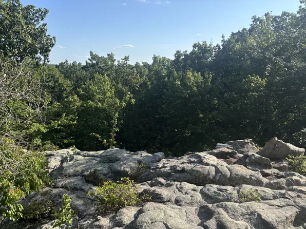 0 Holloway Ridge Rd, Spring City, TN 37381
