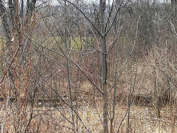 2nd image of Ridge Rd Lot 12