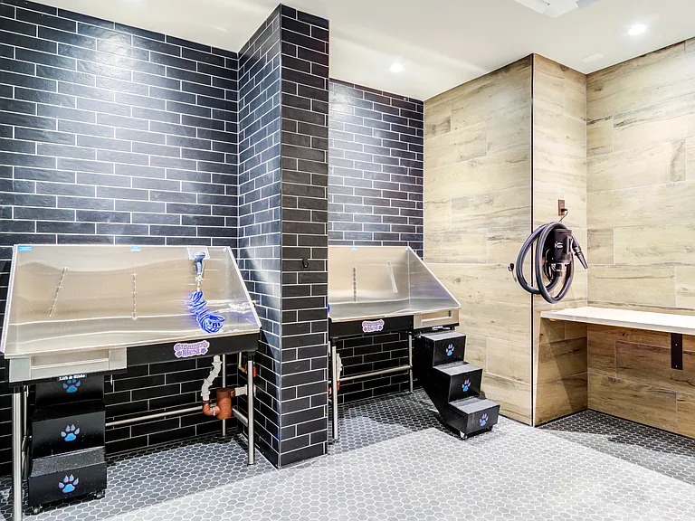 Pet Spa