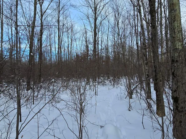 Hansen Rd, Antigo, WI 54409