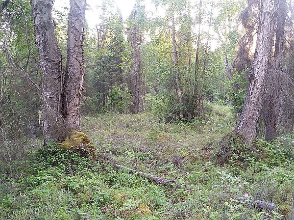 On the property
