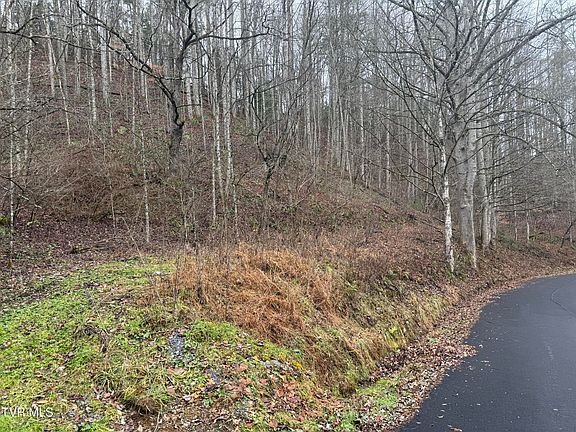 2nd image of Tbd Tiger Creek Rd