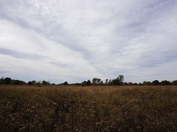 2nd image of County Road 1316