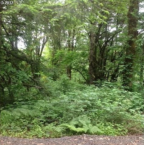 2nd image of 55180 SW Sain Creek Rd