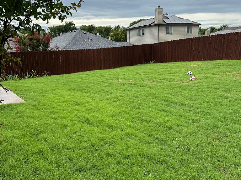 1838 Walnut Way — Photo 10