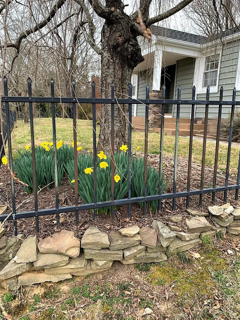 711 Gracelyn Ct | 3Bed 2 Bath | Downtown Blacksburg | — Photo 2