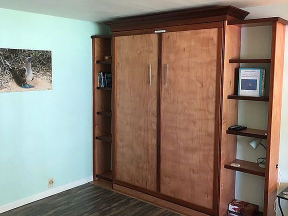 Beautiful Murphy bed