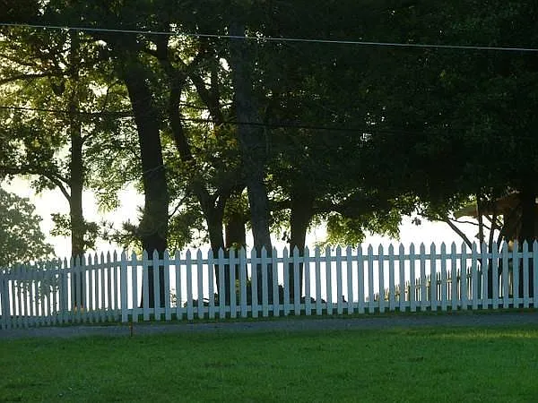 Lake View 2
