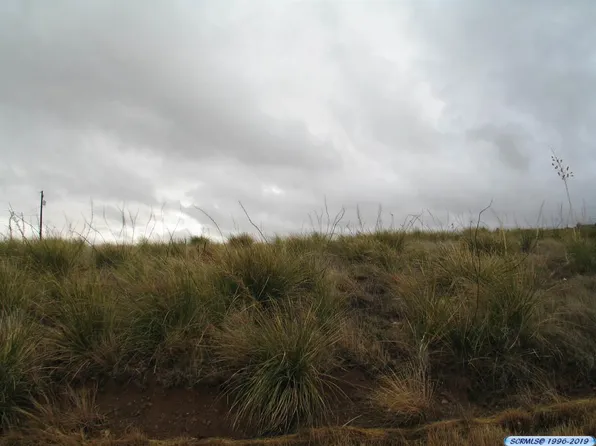 Xx Spear St, Silver City, NM 88061