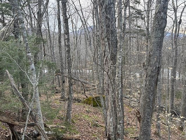 1st image of Lot 8 Barrows Towne Road