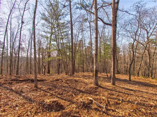 3 Lawrence Rd #3, Dawsonville, GA 30534