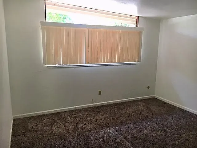 809 Radcliffe Dr — Photo 6