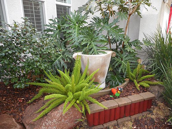 3rd image of 1497 Alberton Cir