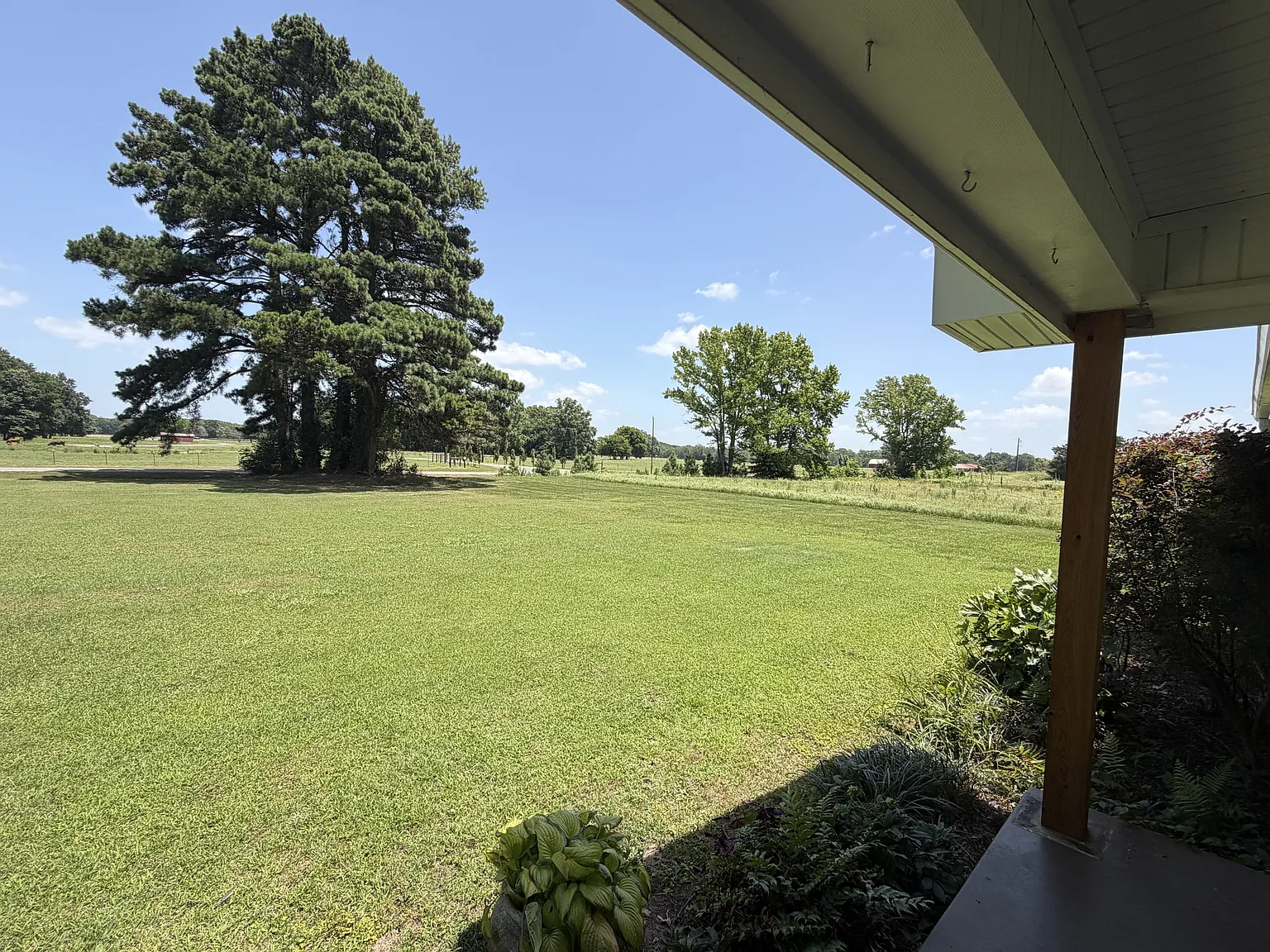 14738 Faulkner Lake Road - 1 — Photo 3