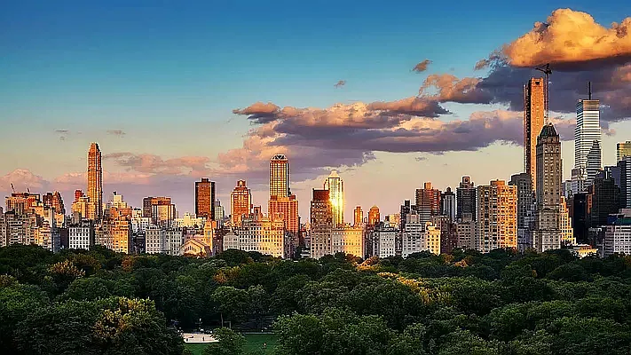 Rented by Vector New York, LLC | media 8