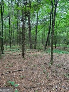 0 Fish Creek Rd, Cedartown, GA, 30125