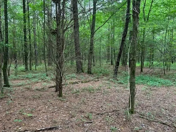 0 Fish Creek Rd, Cedartown, GA 30125
