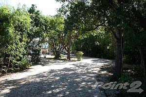 paver driveway