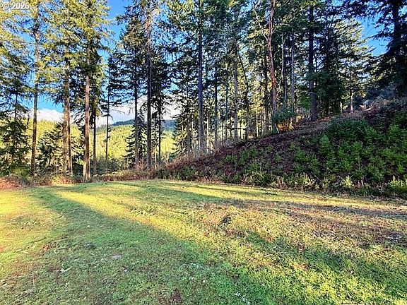 4th image of Alder Branch Rd