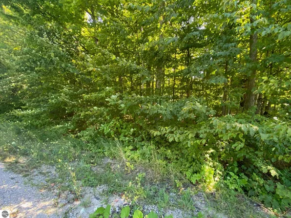 LOT 134 E Cherry Ln, Cedar, MI 49621