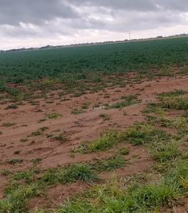 8025 County Road 6100, Shallowater, TX, 79363