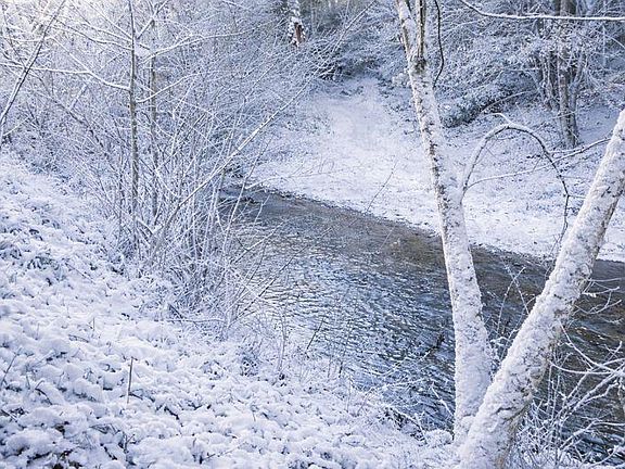 3rd image of 1768 Alean Rd