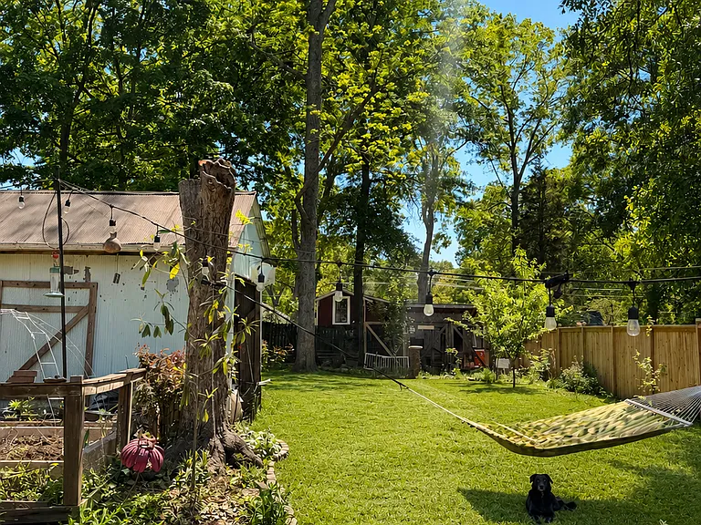 Backyard