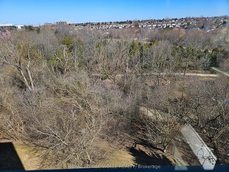 55 Blue Springs Dr #805 — Photo 14