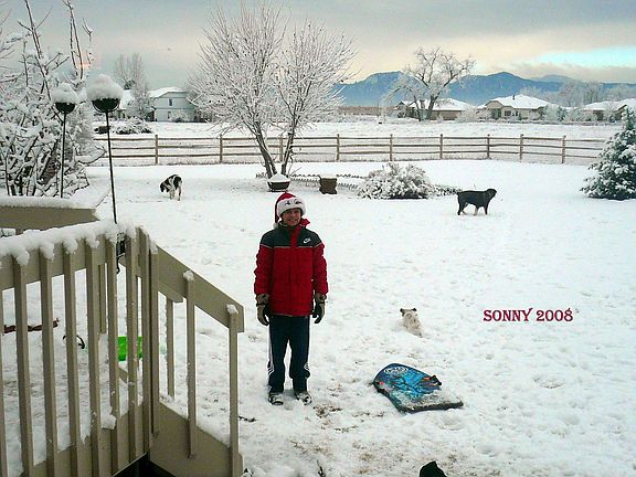 Backyard 2008