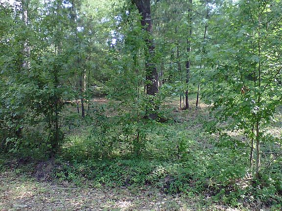 2nd image of Thornwood Dr