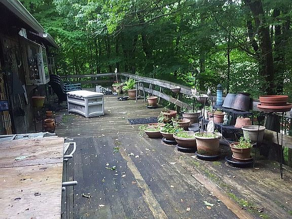 Deck pre-spring clean up