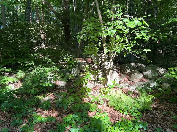 Cobbs Mill Road, Wilton, CT 06897